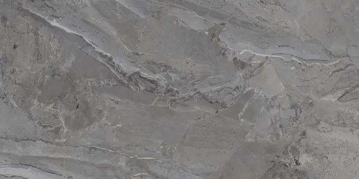 P231123005G ELEGANT GRIS (2)