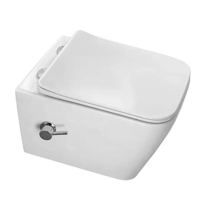 Унитаз подвесной Azario Dezi White BD 355х515х340 безободковый, с функцией биде, с быстросъемным сиденьем "Микролифт" (AZ-W05-SWBD)