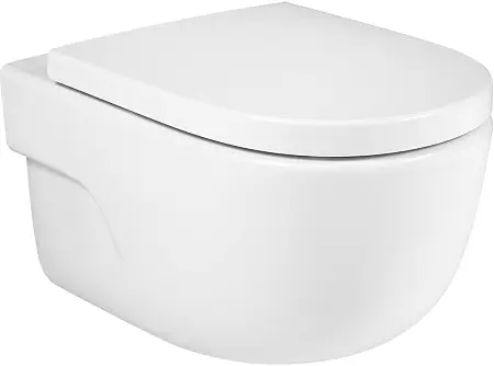 Унитаз подвесной Roca Meridian-N безободковый, скрытый монтаж, белый (7.3462.4.400.0)